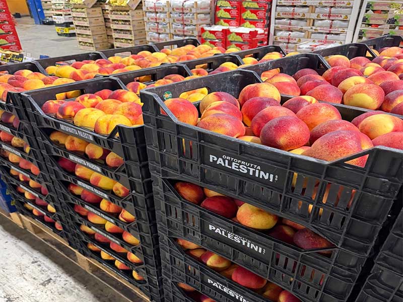 Nettarine - Italia - 1,50/2 euro al kg